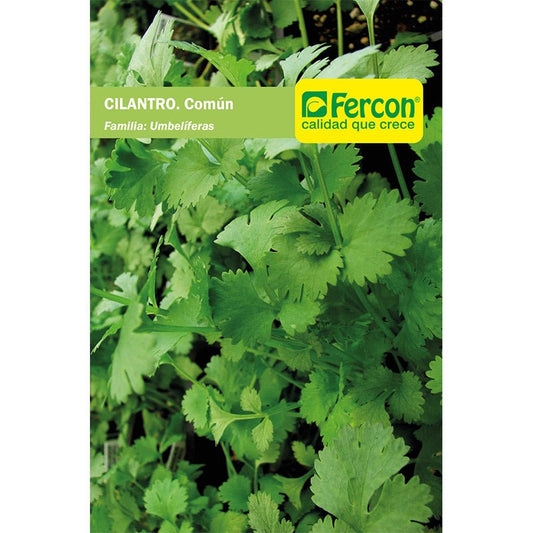 Semillas de Cilantro común