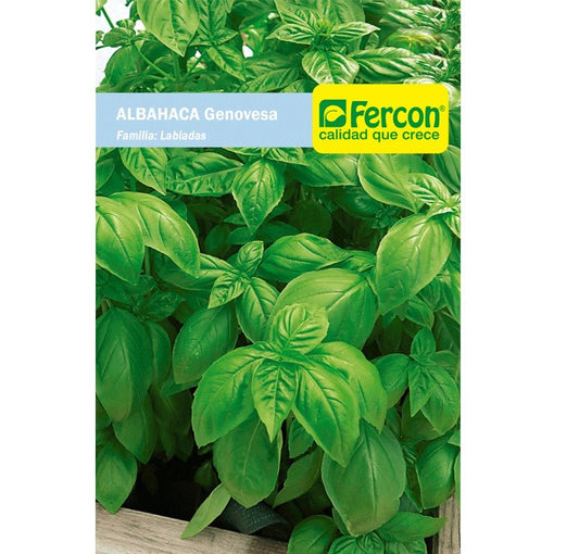 Semillas de Albahaca Genovesa