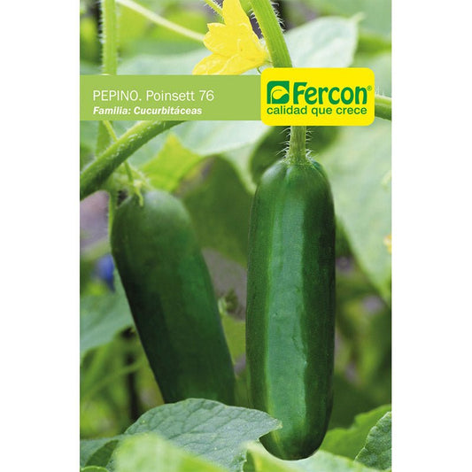 Semillas de Pepino Poinsett 76