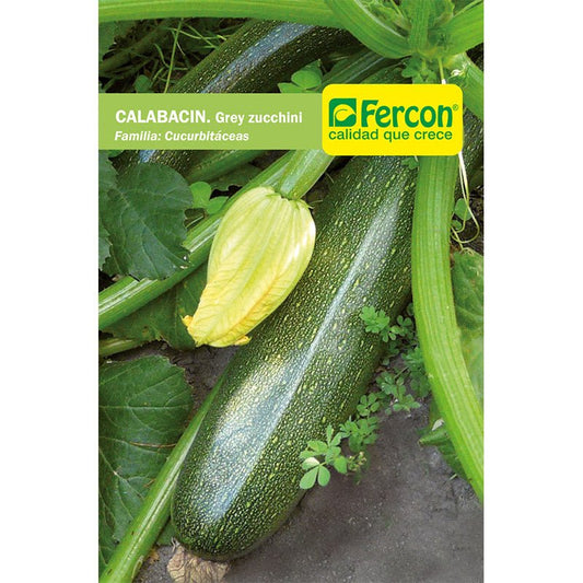 Semillas de Calabacín