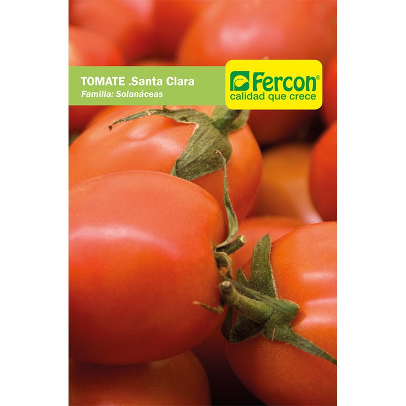 Semillas de Tomate Santa Clara