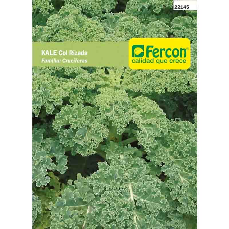 Semillas de Apio Kale - Col Rizada