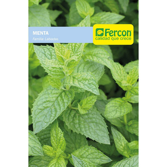 Semillas de Menta