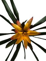 Cargar imagen en el visor de la galería, Bromelia guzmania amarilla plano cenital
