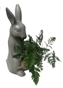 Conejo de concreto con helecho pata de conejo plano entero de lado