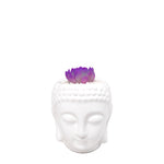 Cargar imagen en el visor de la galería, Matera buddha con suculenta morada plano entero
