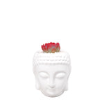 Cargar imagen en el visor de la galería, Matera buddha con suculenta roja plano entero
