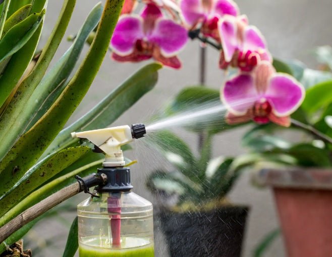 Protege tu jardín: descubre cómo prevenir y combatir las plagas y enfermedades en las plantas