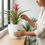 Cargar imagen en el visor de la galería, Materas Aga Plásticos de Colores 16 cm de diámetro
