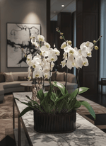 Cargar imagen en el visor de la galería, Arreglo tres orquídeas phalaenopsis de dos varas
