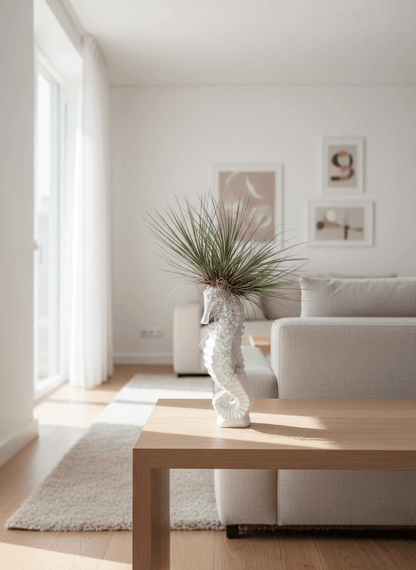 Caballo de Mar con Tillandsias