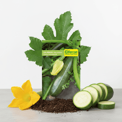 Semillas de Calabacín