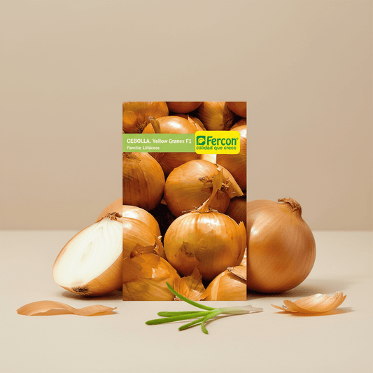 Semillas de Cebolla Yellow Granex F1