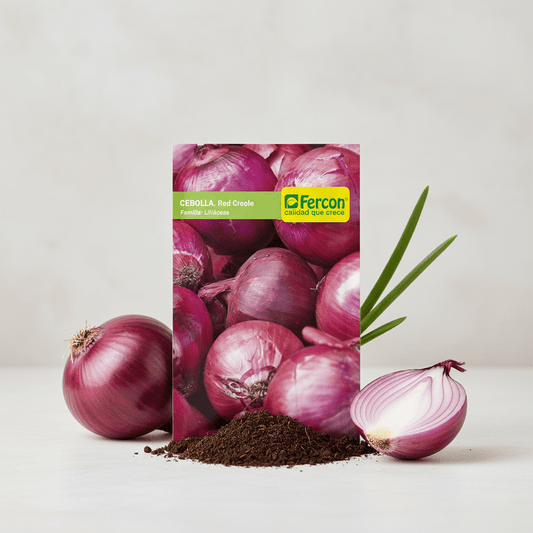 Semilla Cebolla Red Creole