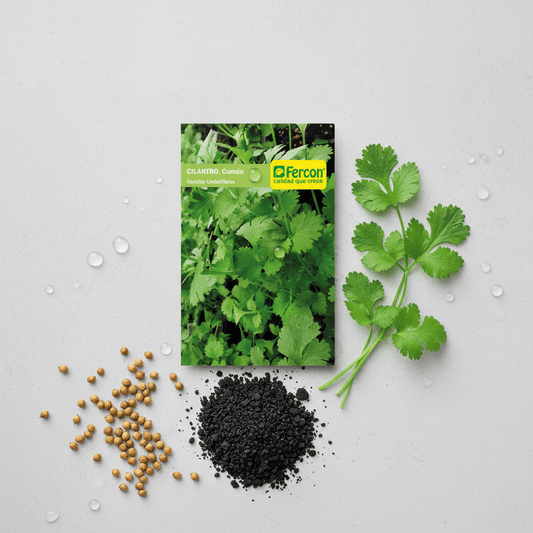 Semillas de Cilantro común