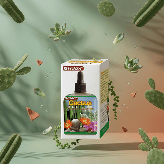 Fertilizante para Cactus y Suculentas