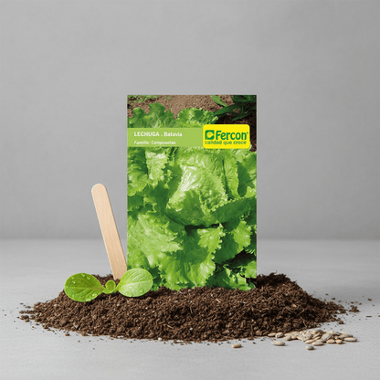 Semilla de Lechuga Batavia