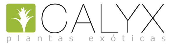 Calyx plantas exoticas