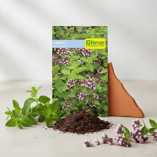 Semillas de Oregano