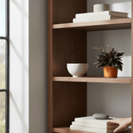 Cargar imagen en el visor de la galería, Peperomia Velita pequeña
