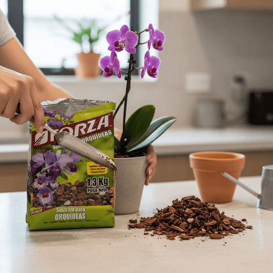 Sustrato para orquídeas