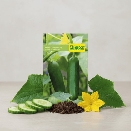 Semillas de Pepino Poinsett 76