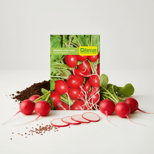 Semillas de Rábano Cherry Belle