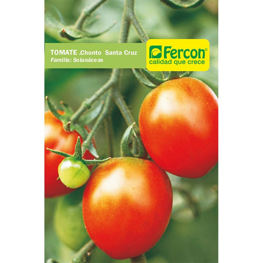 Semillas de Tomate Chonto