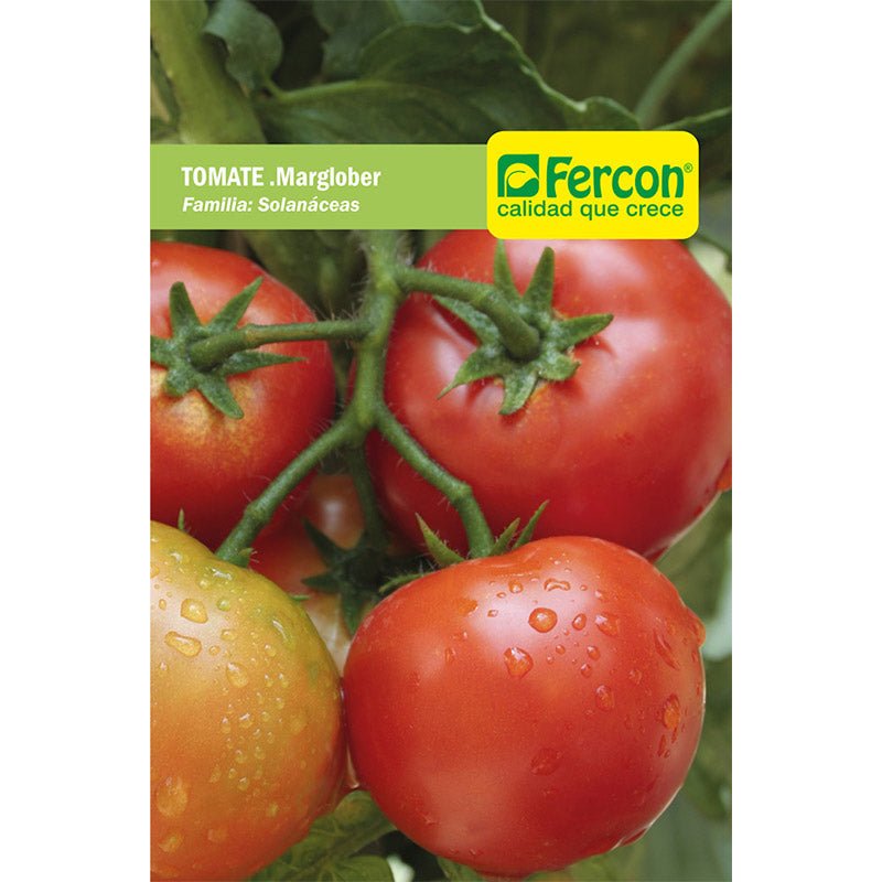 Semillas de Tomate Marglober