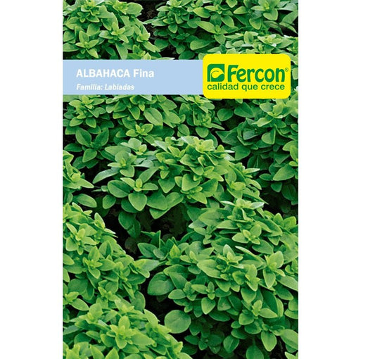 Semilla de Albahaca Fina
