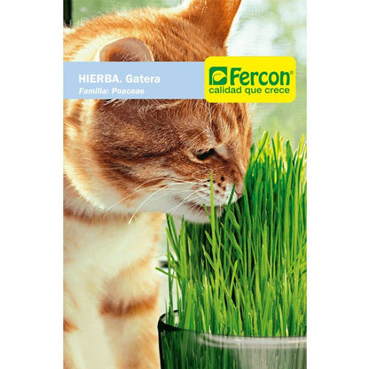 Semilla Hierba Gatera