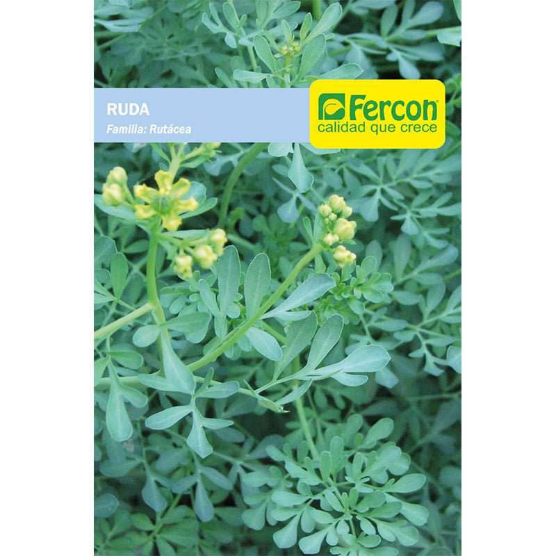 Semillas de Ruda