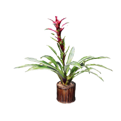 Bromelias Guzmania Moradas