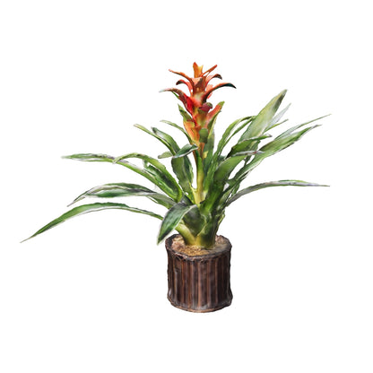 Bromelias Guzmania Naranja