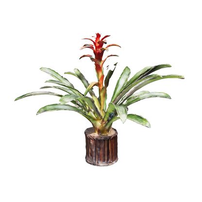 Bromelia Guzmania Roja