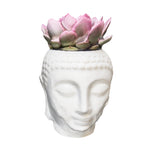 Cargar modelo 3D en el visor de la galería, Matera Buddha con Suculenta

