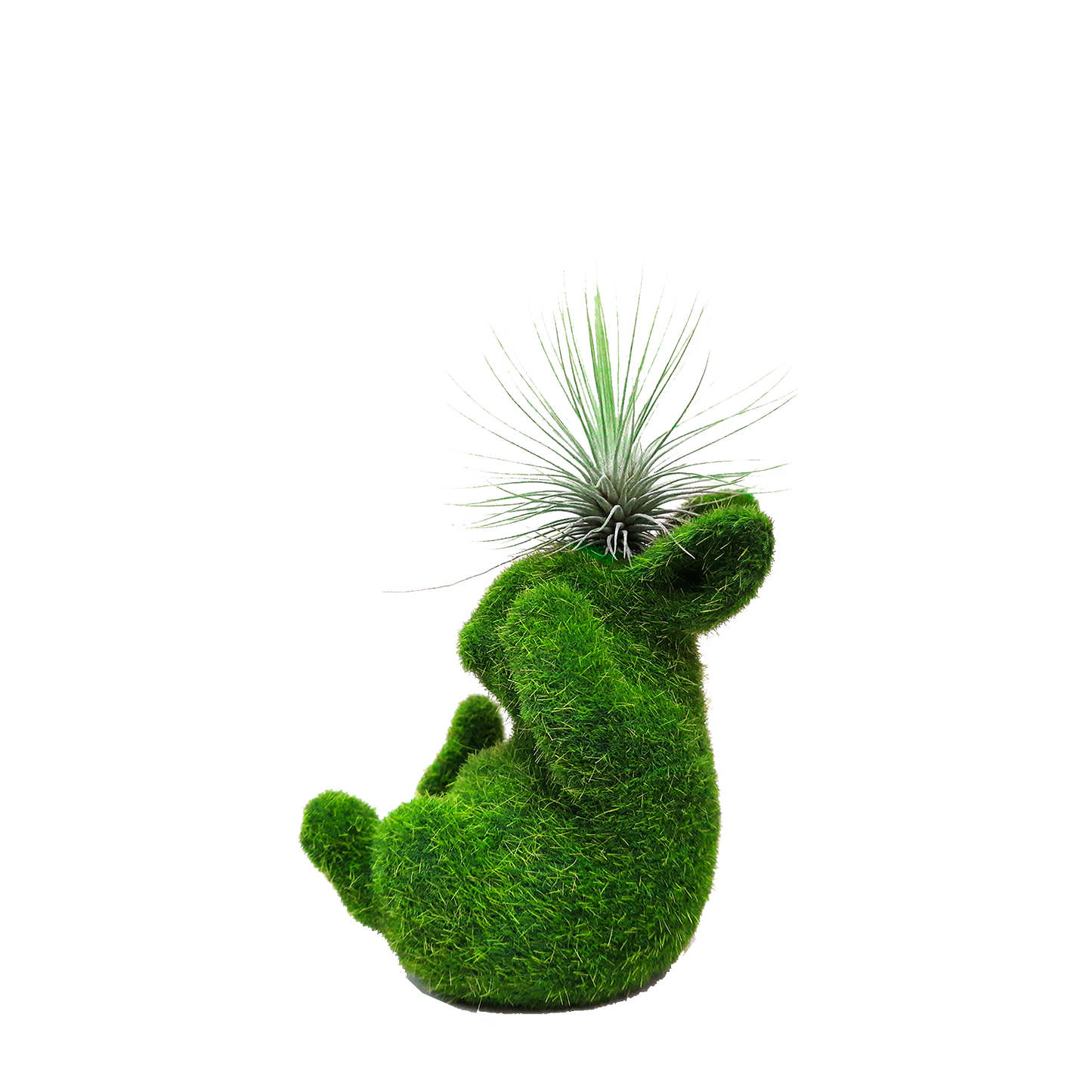 Conejo pequeño con tillandsia en cabeza