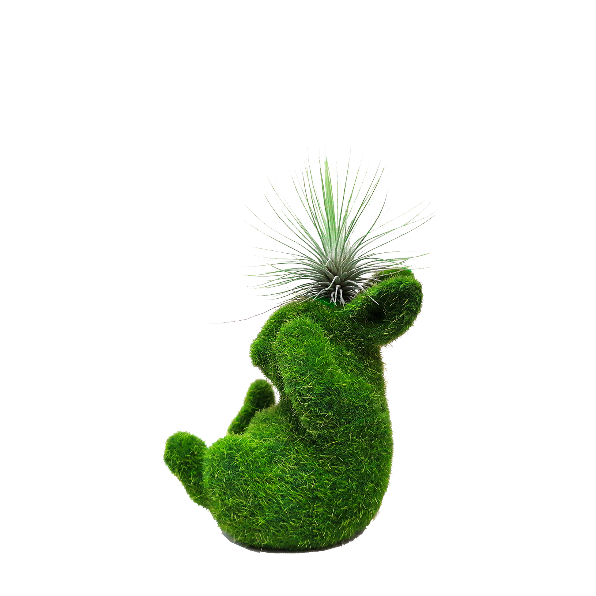 Conejo pequeño con tillandsia en cabeza