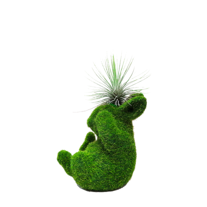 Conejo pequeño con tillandsia en cabeza