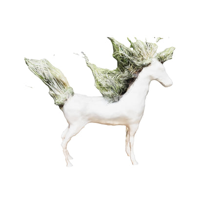 Caballo Grande con Tillandsia