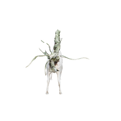 Caballo mediano con Tillandsia