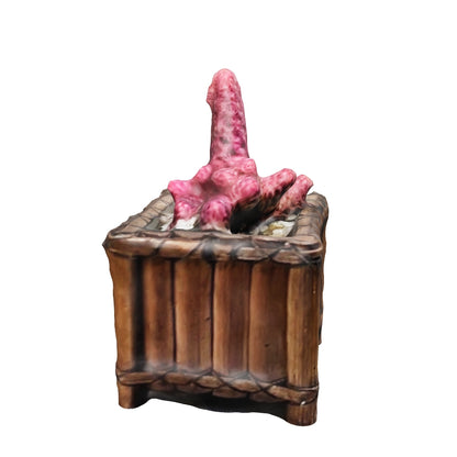Cactus de colores