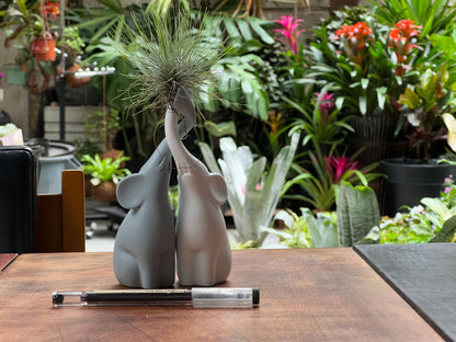 Elefantes enamorados con Tillandsia foto contexto