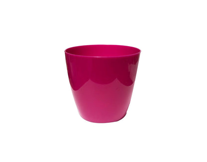 Matera fucsia