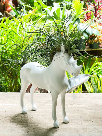 Caballo - Rinoceronte