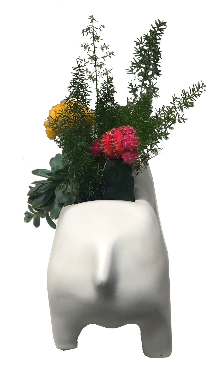 matera Tapir con plantas de atrás