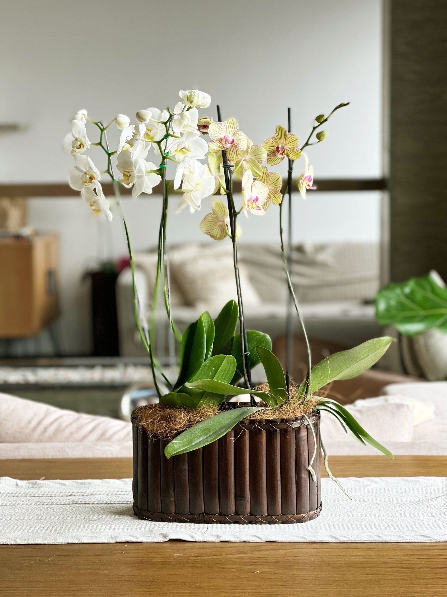 Arreglo de orquídeas artificiales de China con 2 horquillas Proveedores,  fabricantes, fábrica - Arreglo de orquídeas artificiales personalizado con  2 horquillas al por mayor - Convergencia de Home of Arts