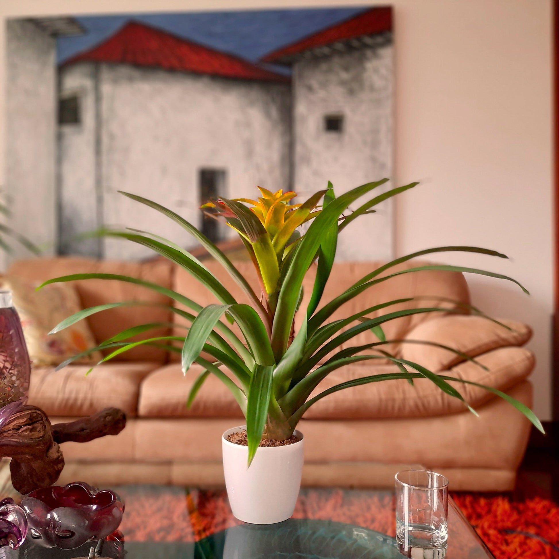 Bromelia guzmania amarilla plano contexto