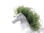 Cargar imagen en el visor de la galería, Caballo con Tillandsia - Calyx plantas exoticas
