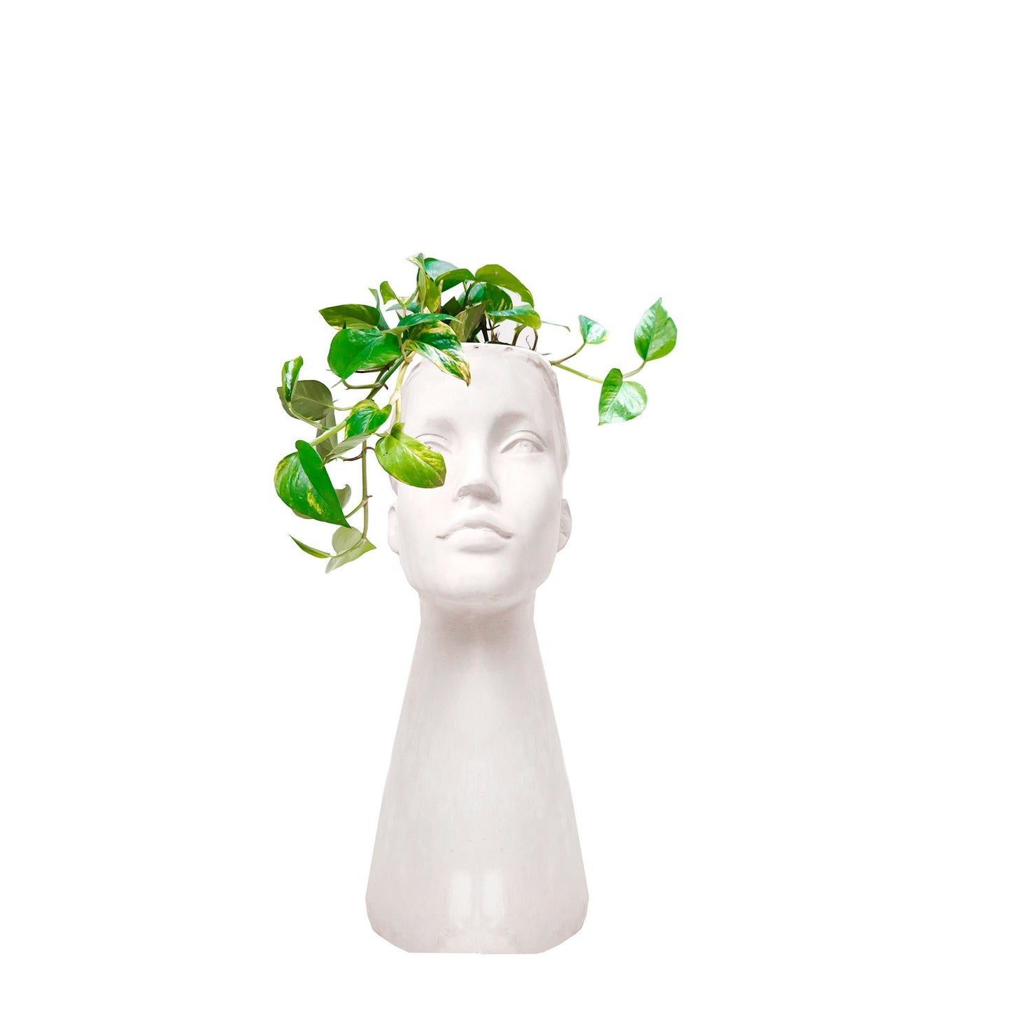Cabeza mujer con miami plano entero